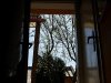 Dscn50251954.jpg
