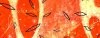 Rannostrovydetail1892.jpg