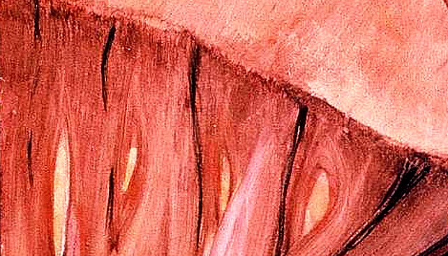 Adojdu-detail1298.jpg