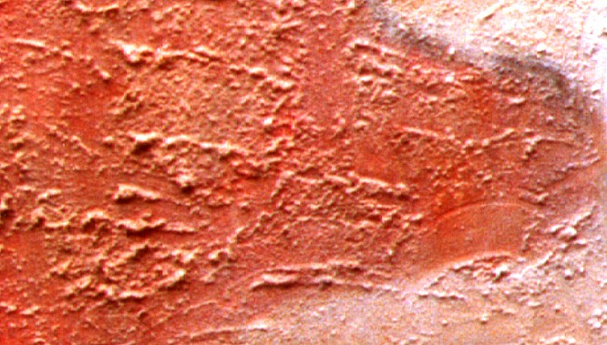 Bolestbyt-detailII1411.jpg