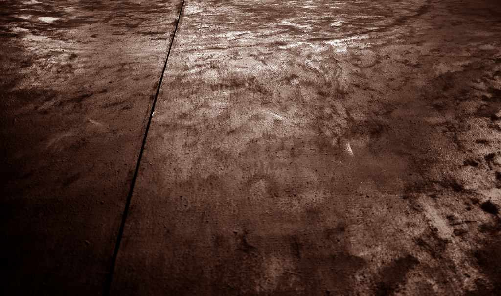 DSC_0117_83101395.jpg