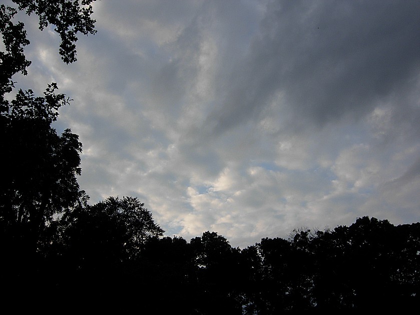 Dscn24771701.jpg