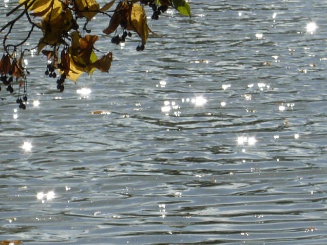 Dscn27301550.jpg