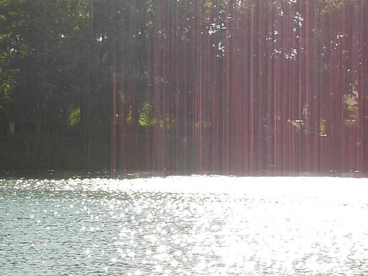 Dscn28062462.jpg
