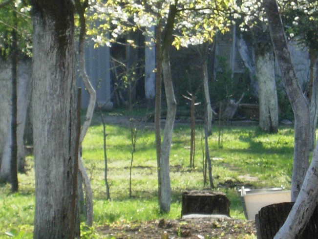 Dscn49922172.jpg