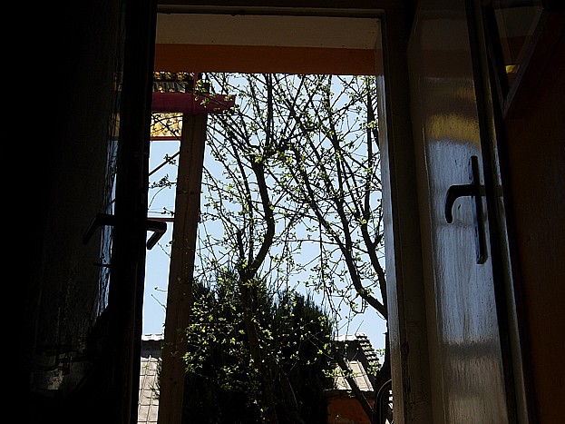 Dscn50251954.jpg