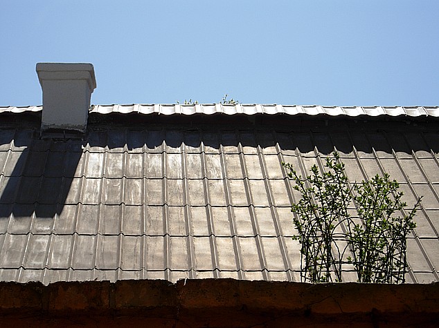 Dscn50312000.jpg