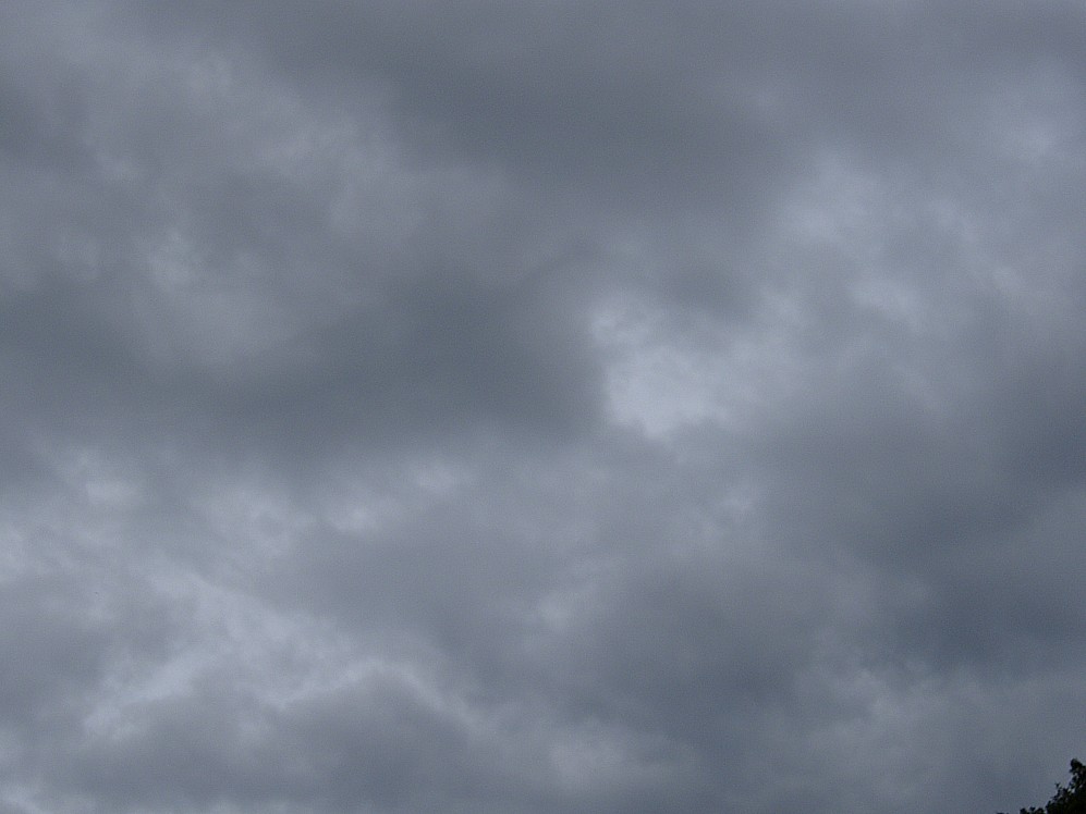 Dscn91812590.jpg