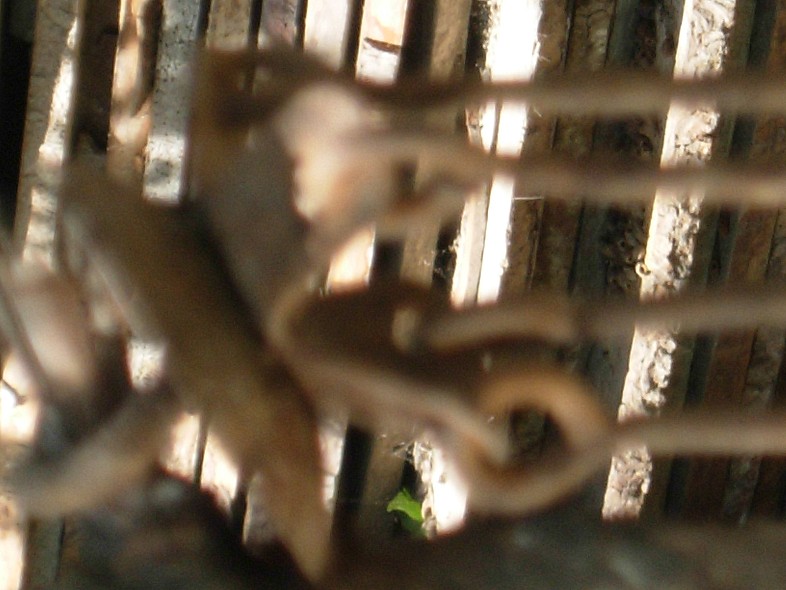 Dscn92822215.jpg