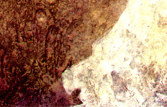 Krlovna-detailII2332.jpg