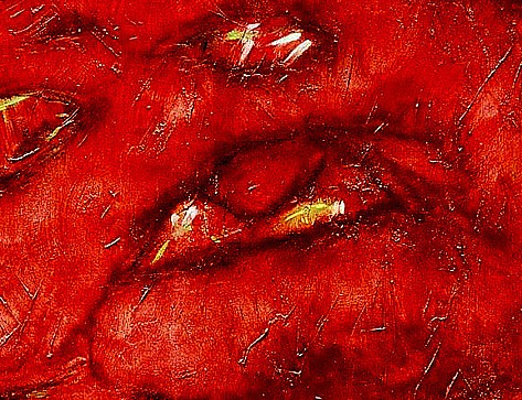 Muivzezy-detail2197.jpg
