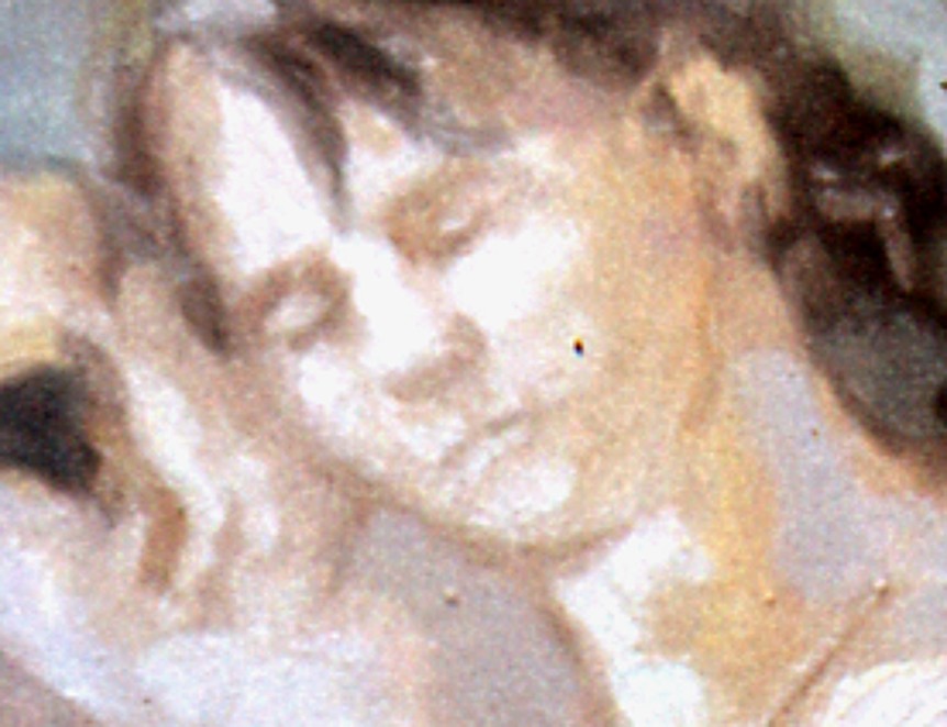 Sedcaktdetail2467.jpg